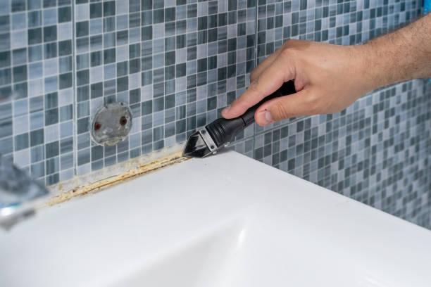 Best Toxic Mold Removal  in Windcrest, TX